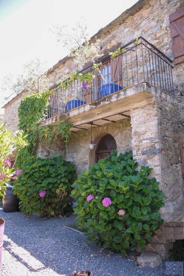 A Casa Di Paulina Bed & Breakfast Casta Exterior photo